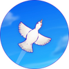 Skyward Journey(����֮������)