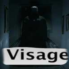 VisageV1.0 lmao