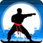 Karate Fighter : Real battles(ֵսʿ)