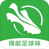 żż����(����װ������)app