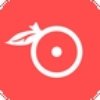 ʯ��ƽ̨app��׿��ͼ��