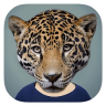 ���������(Animal Face)�ֻ���