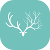 ��¹ɭ��app(��δ����)