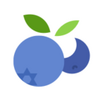 ��ݮ����app