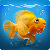 iQuarium(ģ��ˮ���)