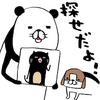 �ҵ�����è�͹�