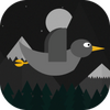 ��ɫ��Kolor Bird