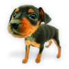 XCLWinKits(windows����������)