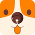 ��������appV6.0.3