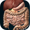����3D����ѧOrgans 3D(Anatomy)