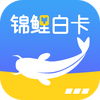 ����׿�app
