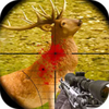 ��ǹ����ս�ٷ���