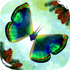 ����Flutter