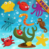 Fishes Puzzles for Toddlers(�׶�������ƴͼ)