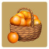 Orange Tree(������)