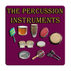 Percussion Instrument(ߵ)