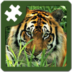 Wild Animals Puzzle(Ұƴͼ)