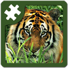 Wild Animals Puzzle(Ұ����������ƴͼ)