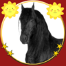 mybabyloveshorses(�ҵı�������)