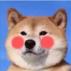 ��ӰͼƬ����