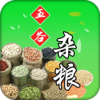 ���������app