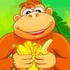 Monkey Jump