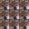 ��Ȯ����ô��ϵ�б����ͼƬ