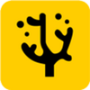 ɺ����ѡapp