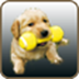 Dogz2(���ӳ��ﹷ)
