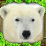 Polar Bear Simulator(ģ)
