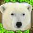 Polar Bear Simulator(������ģ����)v1.0 ��׿��