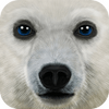 ArcticSim(�ռ�����ģ����)
