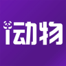 ��¡i����app