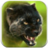 PantherOnline(�Ա�ģ����OL)