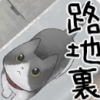 lost cat story������