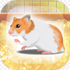 Hamster(������������)