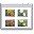 �����ļ�ѹ���Ż�(FileOptimizer)