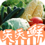 ������app