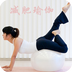�٤YoGa��׿��