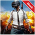 PUBG-BGM Tool���԰�v1.1��ɫ��