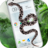��Ļ��ʾ��app