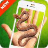 ֻʾ(Snake On Screen Prank)app