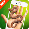 �ֻ�����ʾ��(Snake On Screen Prank)app