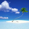 Miscrosoft Remote DesktopԶ�̵�¼windows