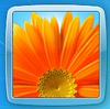 ��� Windows PE
