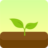 ����רעForest