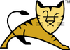 Tomcat�̳�