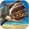 Raft(������������)