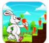 Bunny Run(Сÿ)