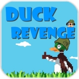 Duck Revenge(ѼӵϮ)